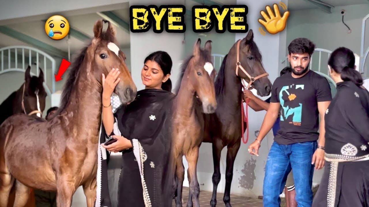 INDIA 🇮🇳 K£ FAMOUS MARWAR! GH0D0 K! FAMILY SE M!L KR AAJ !S PUNJABAN LADK! K0 👋 BYE B0L H! D!YA🥺