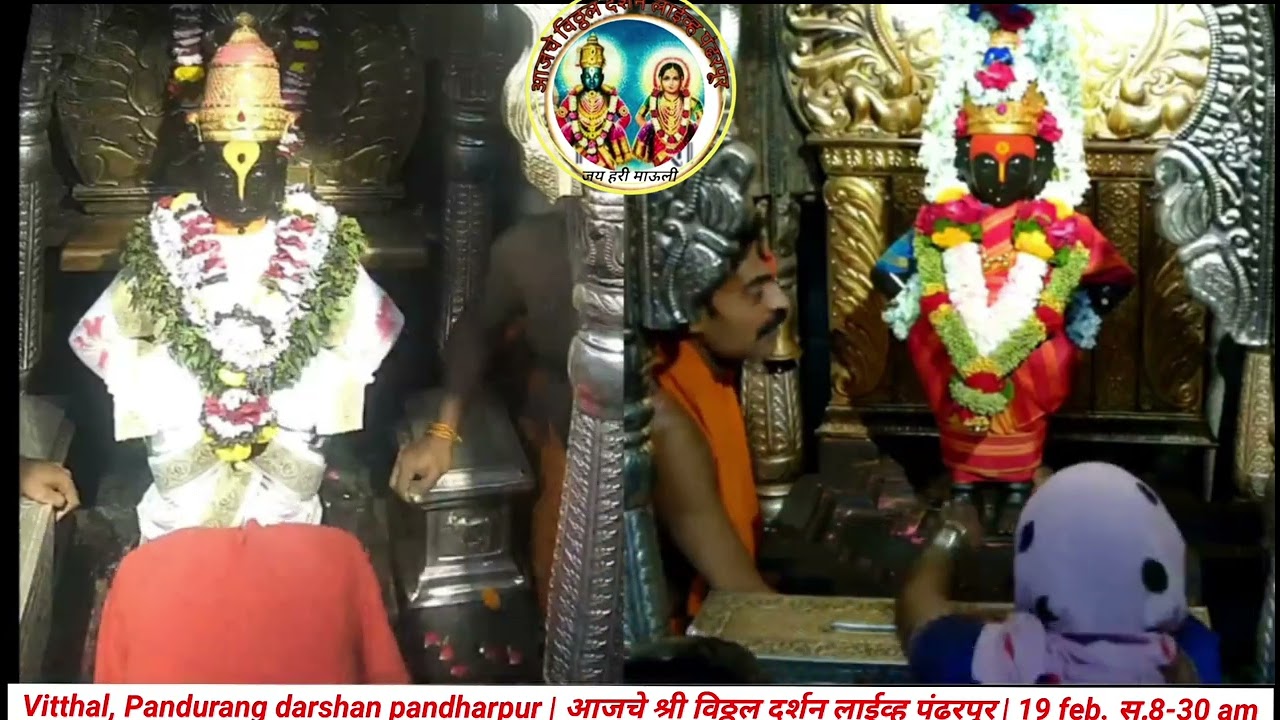 Vitthal, Pandurang darshan pandharpur | आजचे श्री विठ्ठल दर्शन लाईव्ह पंढरपूर | 19 feb. स.8-30 am