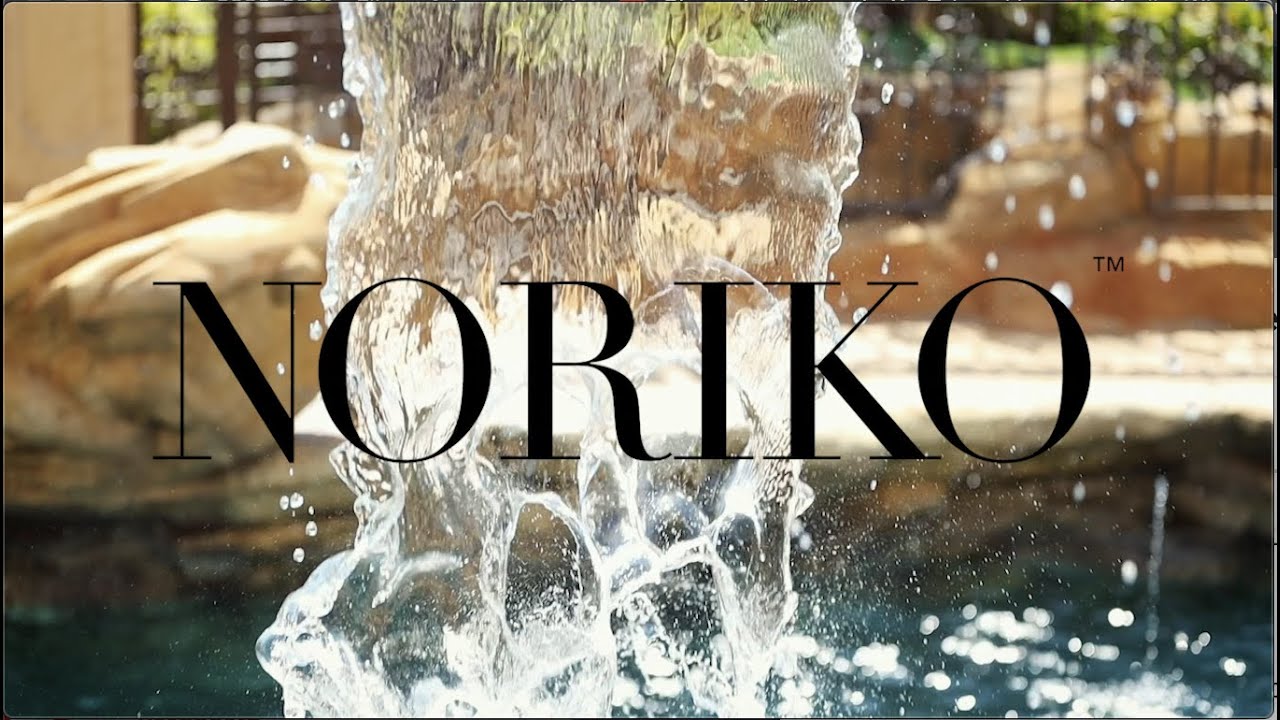 Noriko 2020 Collection | Rene of Paris