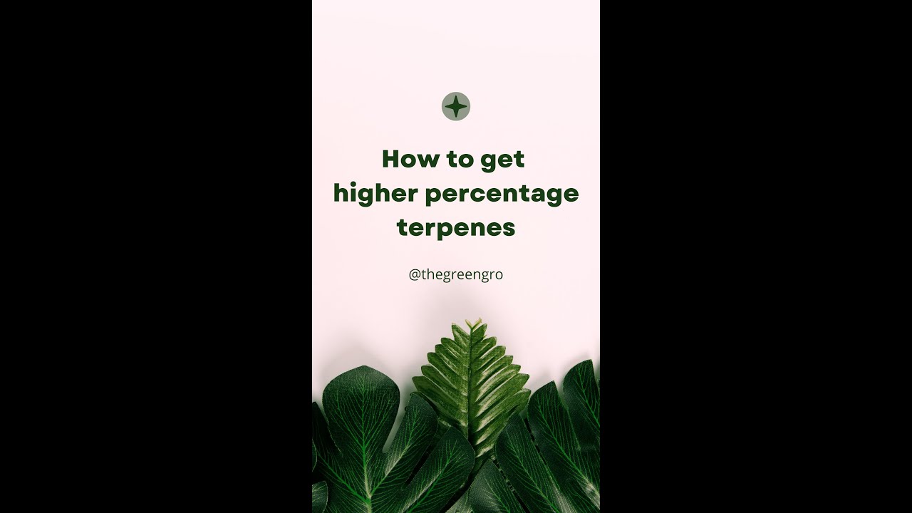 How to get higher percentage terpenes?
