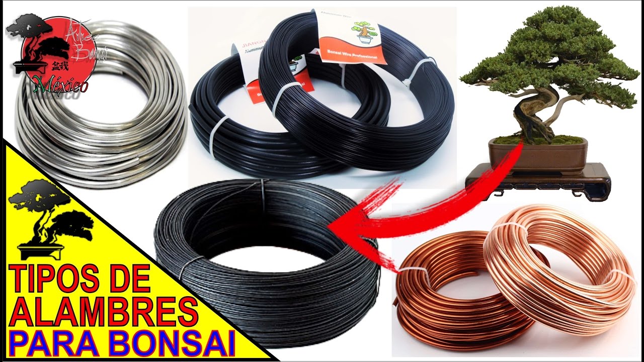 ALAMBRES para BONSAI | TIPOS y FUNCIONALIDAD [BIEN EXPLICADO]