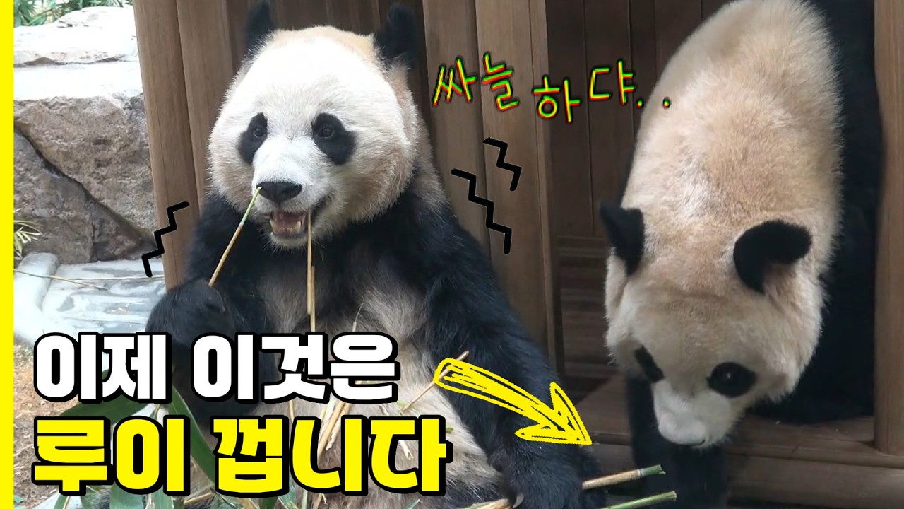 귀도루팡 동생꺼 어디까지 가지고 가는거야 ㅋ260222