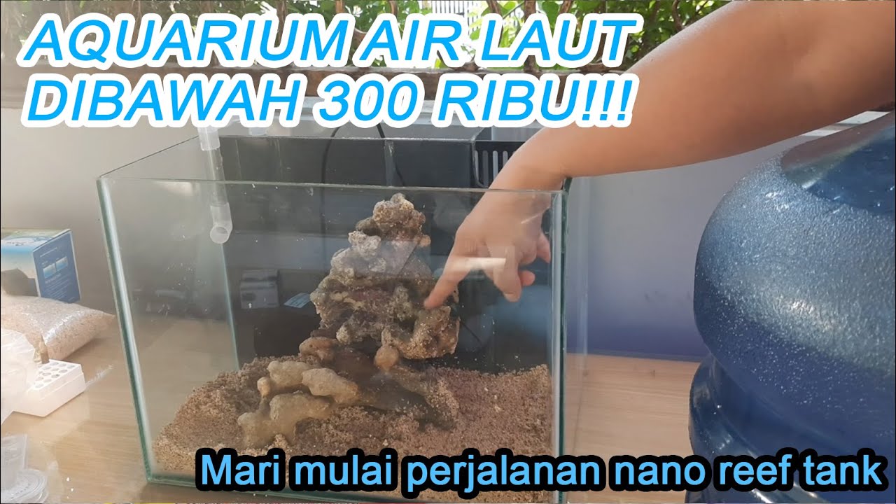 CARA MEMBUAT AQUARIUM AIR LAUT DIBAWAH 300 RIBU #1