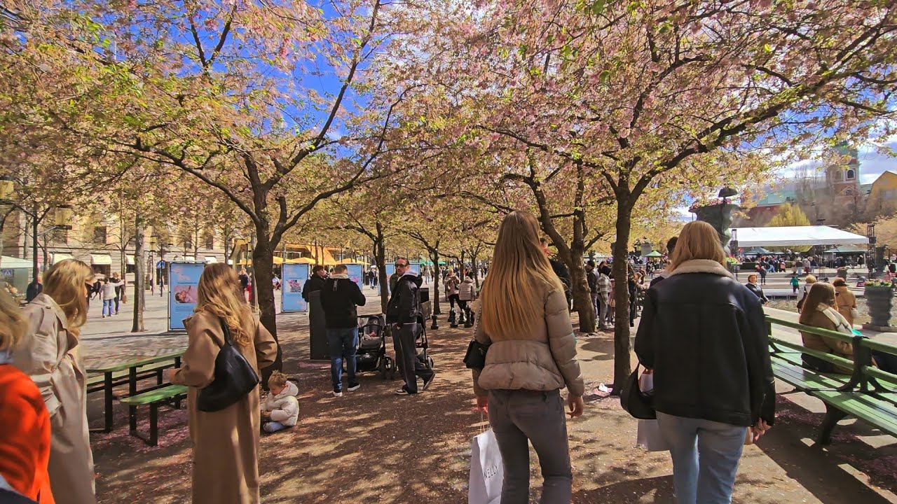 Stockholm Spring 2025 - Kungsträdgården 🌸 (#691)