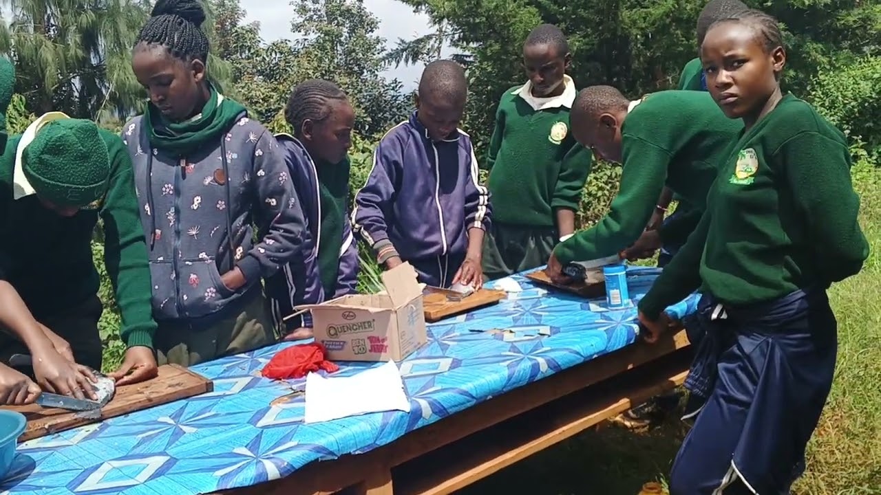 Scaling of fish by Junior school leaders at st Philips JUNIOR SCHOOL  Murang'a SERIES