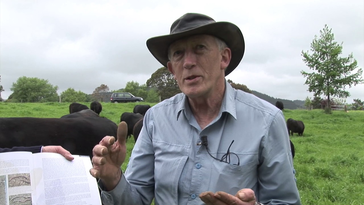 Species Diverse Pasture