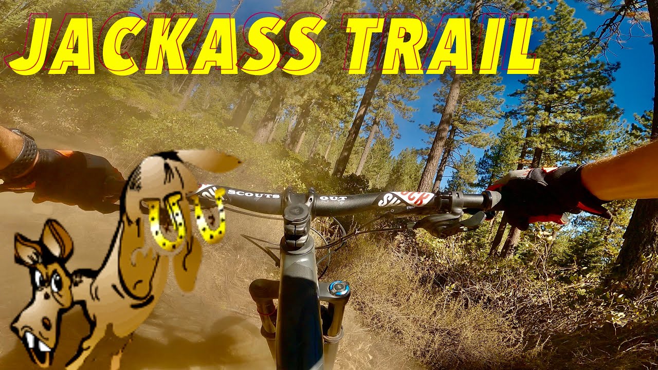 Jackass Trail, Truckee CA | Vacation Adventure 1 of many | 2020 YT Capra