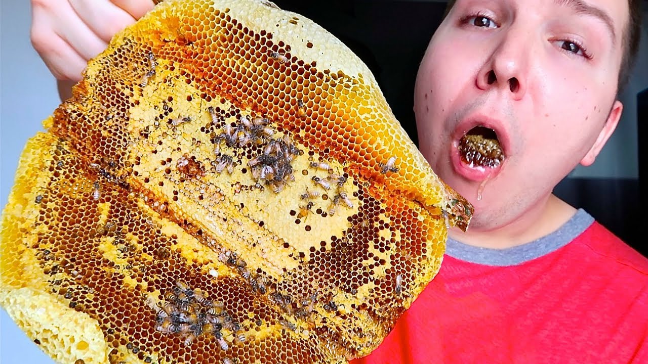 Giant Raw Honeycomb With Bees • MUKBANG