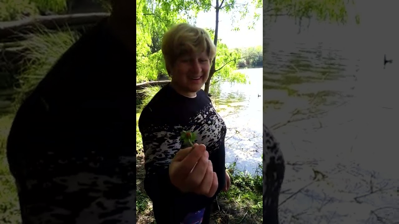 Un domingo en (Jose de la Quintana Córdoba)