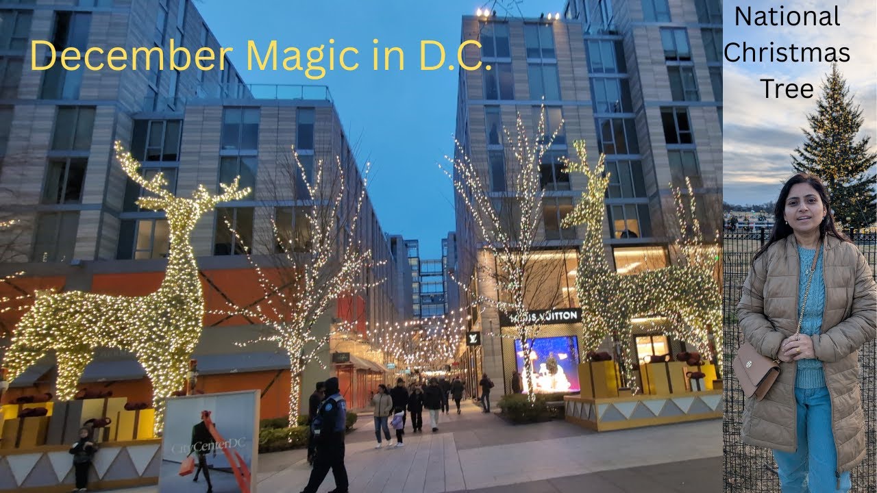 December Magic in DC downtown | National Tree | Anagha ASJ