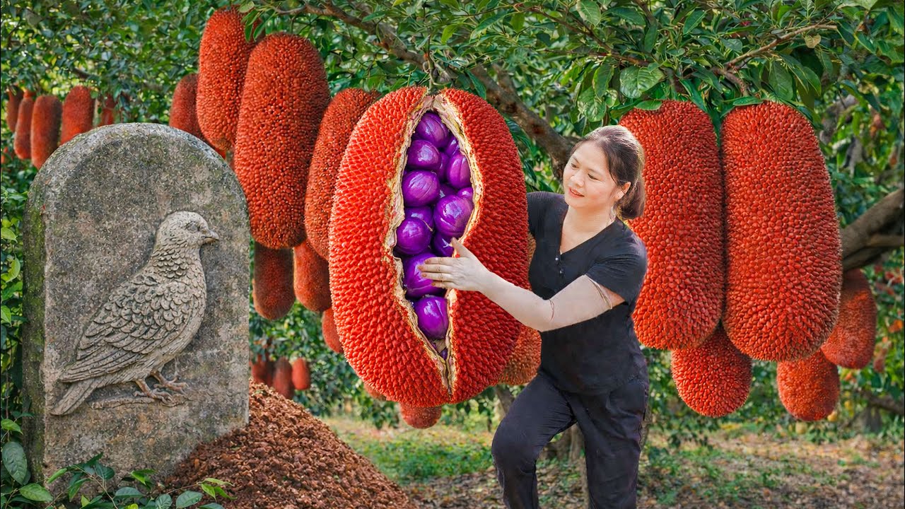 Harvesting Rare Red Jackfruit to Sell at a High Price | A Quiet Goodbye in the Garden