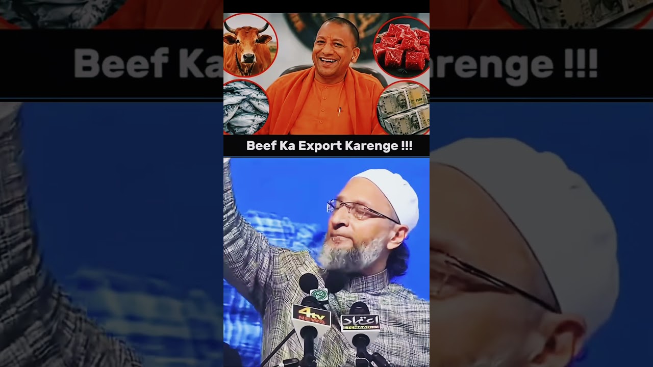 Beef ka export karenge! | Br. asaduddin owaisi best reply to bjp liders | aimim