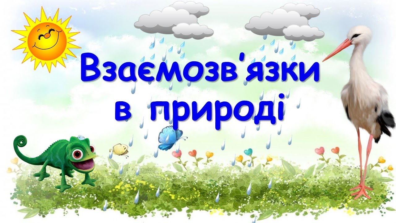Взаємозв’язки в природі