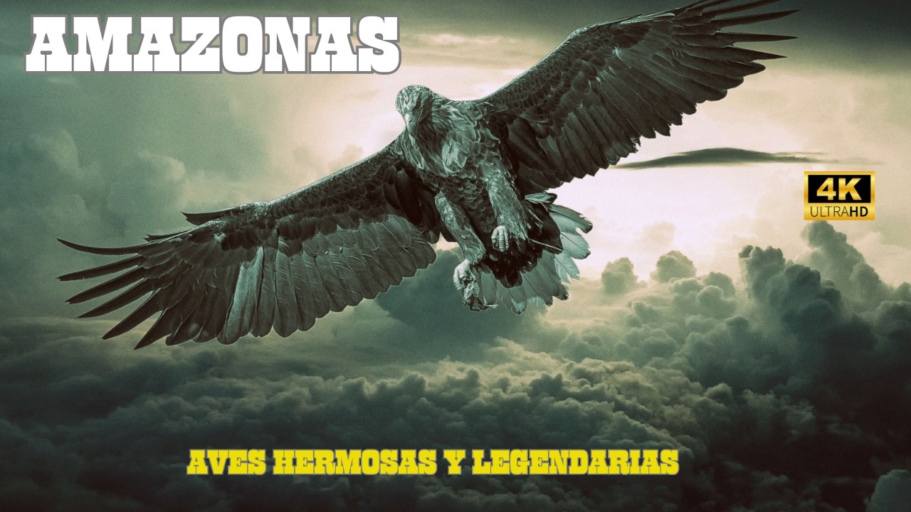 AMAZONAS: Aves HERMOSAS y LEGENDARIAS | DOCUMENTAL Episodio 1