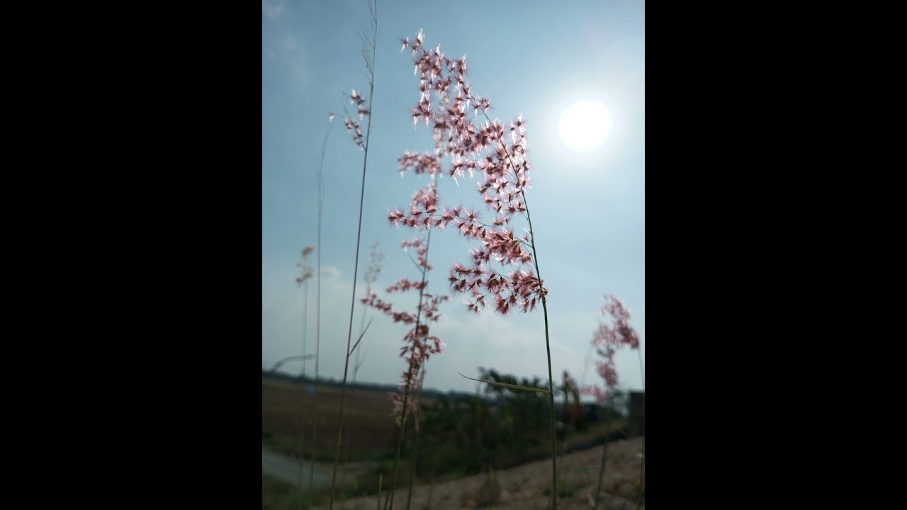 Tentang Dirimu (official music video) | kibow 