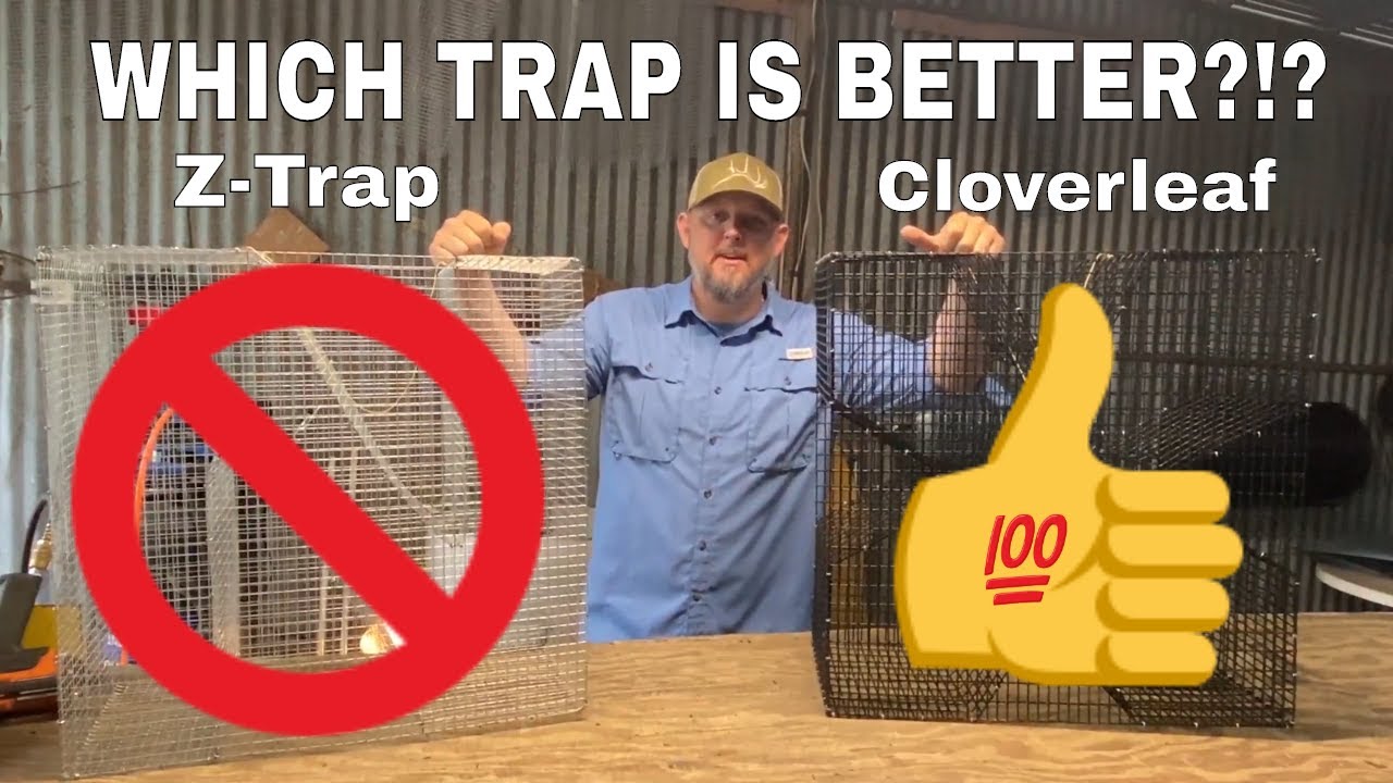 Ловушка Cloverleaf Trap или Z Trap — какая ловушка для приманки лучше?