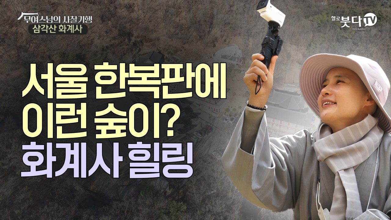 서울 한복판에 이런 숲이? 화계사 힐링 | 힐링 여행 사찰 서울 새해 | 무여스님의 사찰기행 1회 '삼각산 화계사'