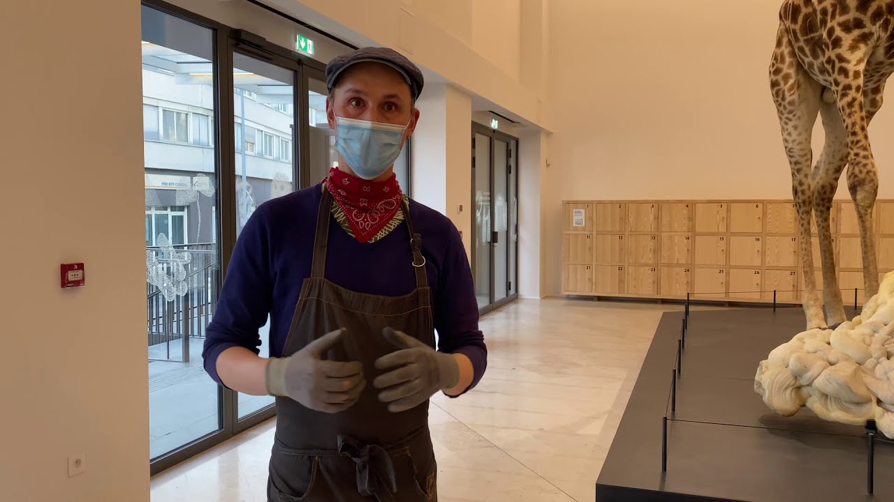 Soclage - Muséum d'Orléans pour la Biodiversité et l'Environnement