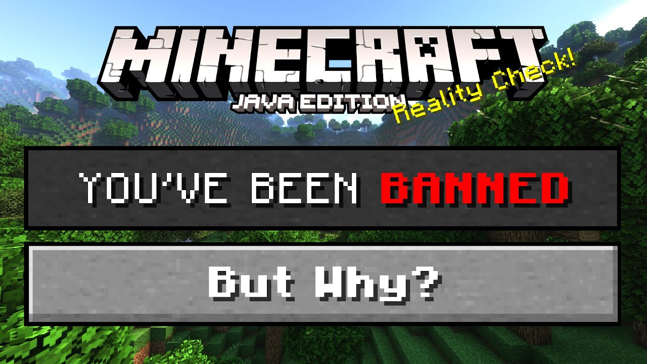 The REAL Truth about Minecraft Player Reporting...