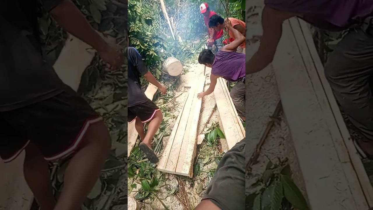 2x4x7 Ning biradaha sa team #chainsaw