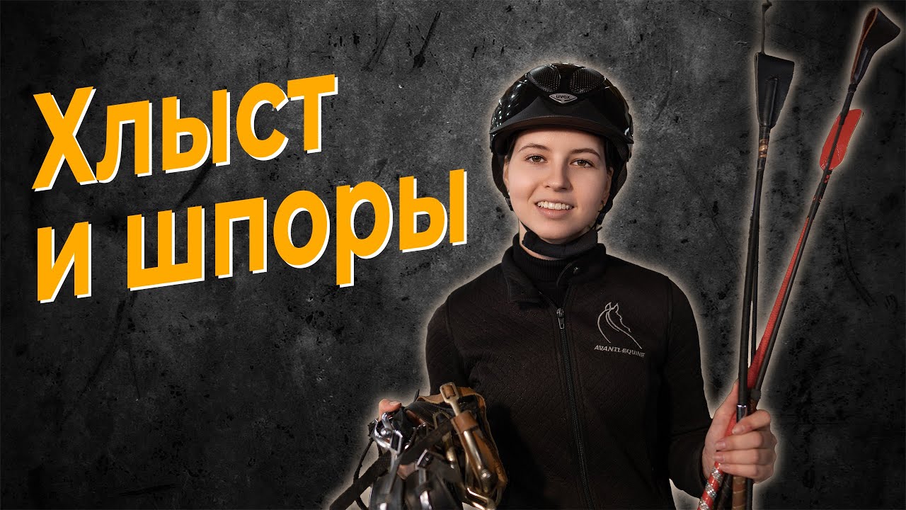 Шпоры и хлыст(ы) / Виды и правильное использование