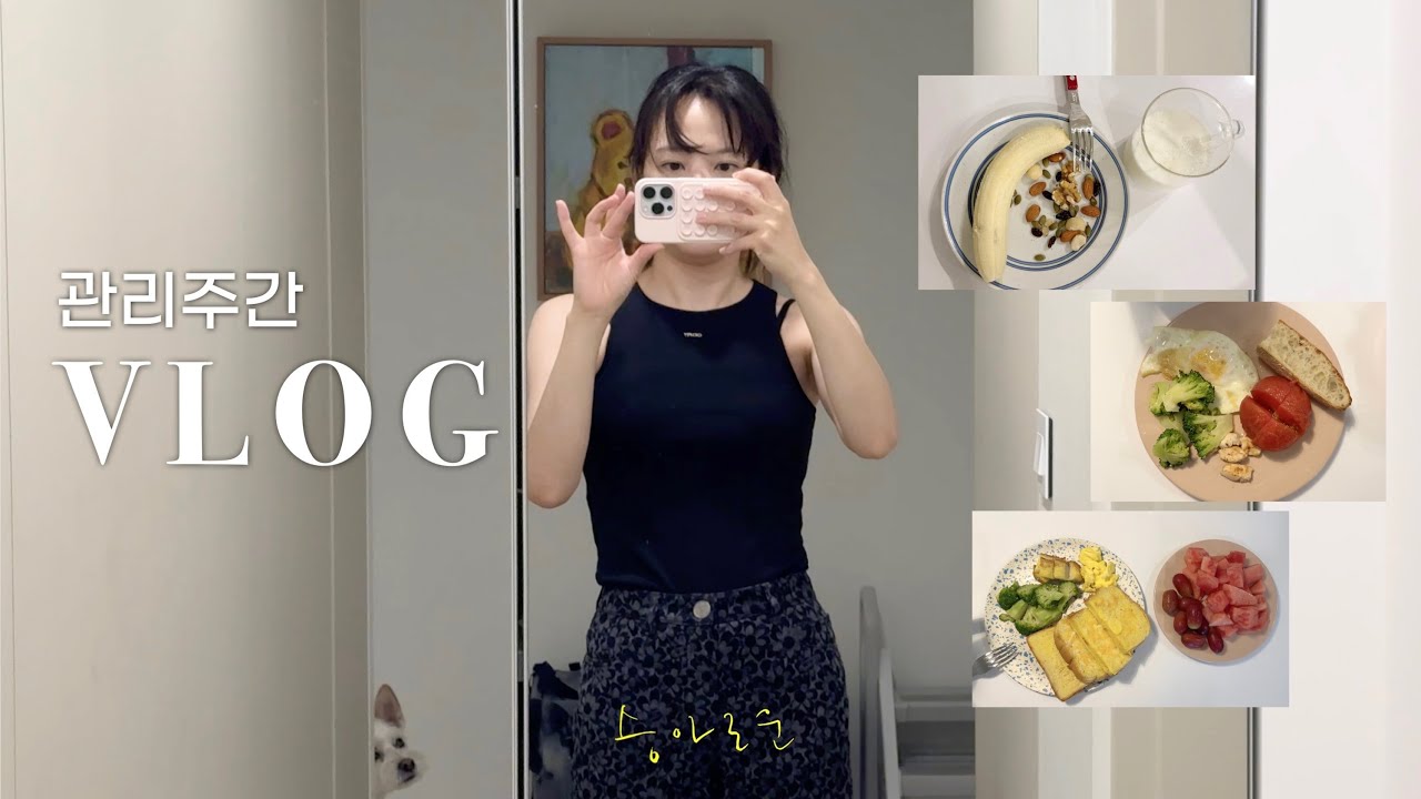 잘 먹고, 관리하는 일상 그리고 요즘 식단