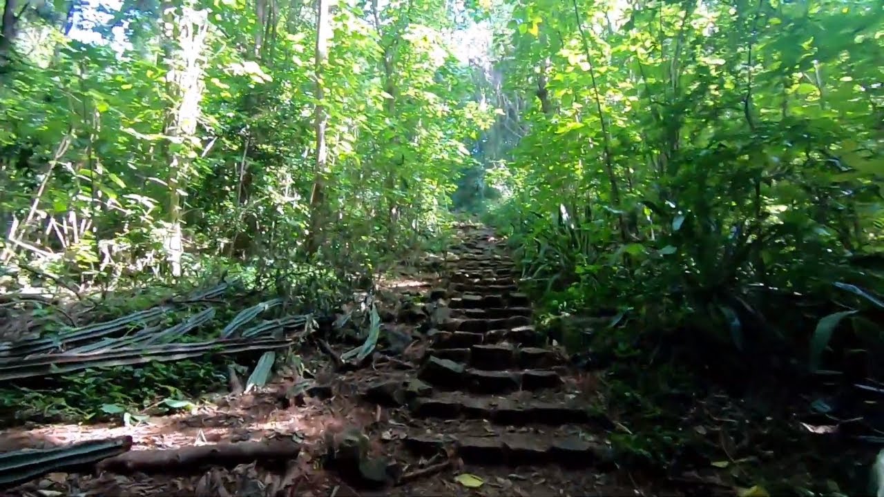 Nairobi Arboretum