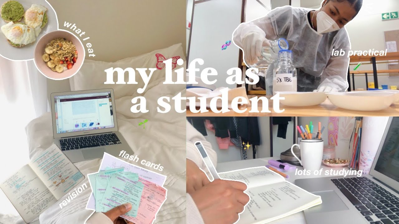 days in my life as a student | lab practical, lots of studying, tests, revision & more🥼🧪