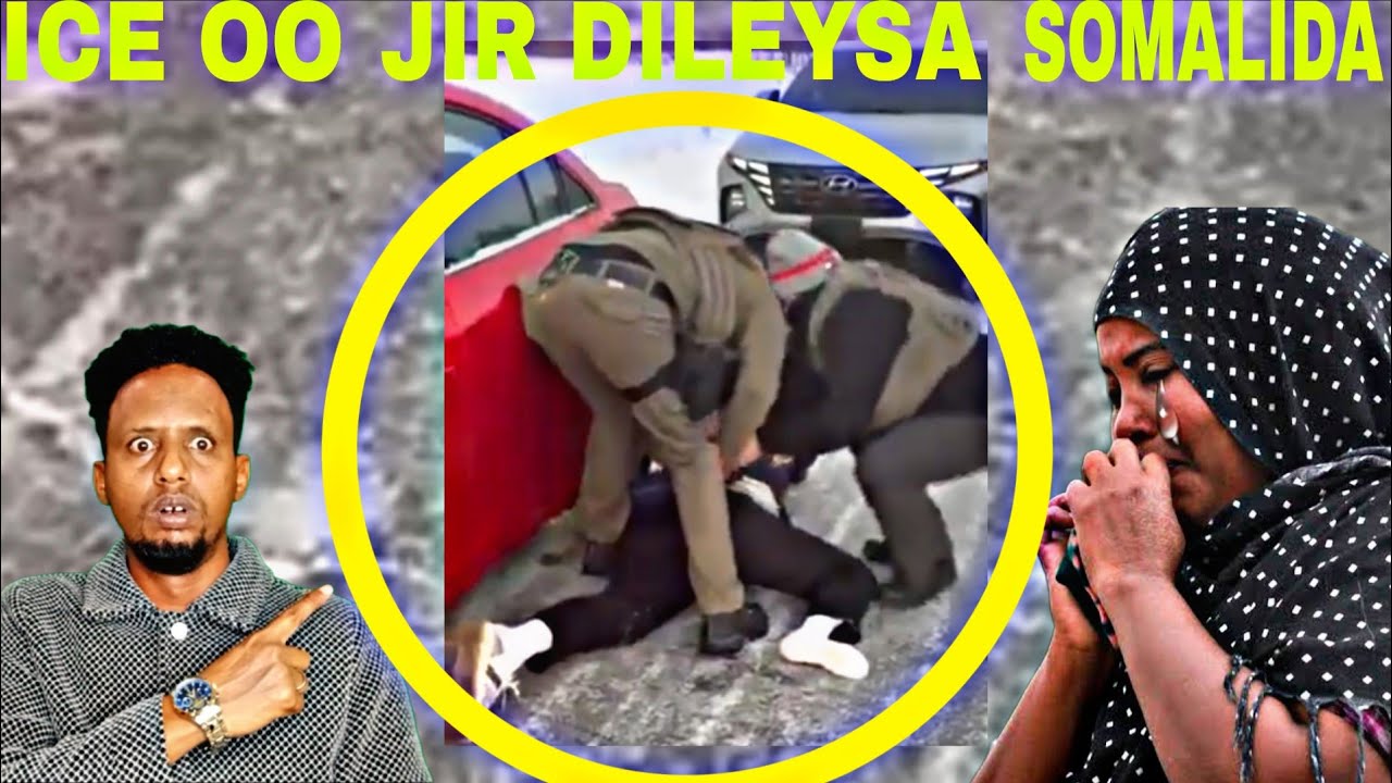 ICE OO HOOYO SOMALIYEED WIILKEED KU HOR JIR DILEYSA AX,TRUMP OO NAGU DHIIQEYSTAY NAGUNA DIRAY MADAXD