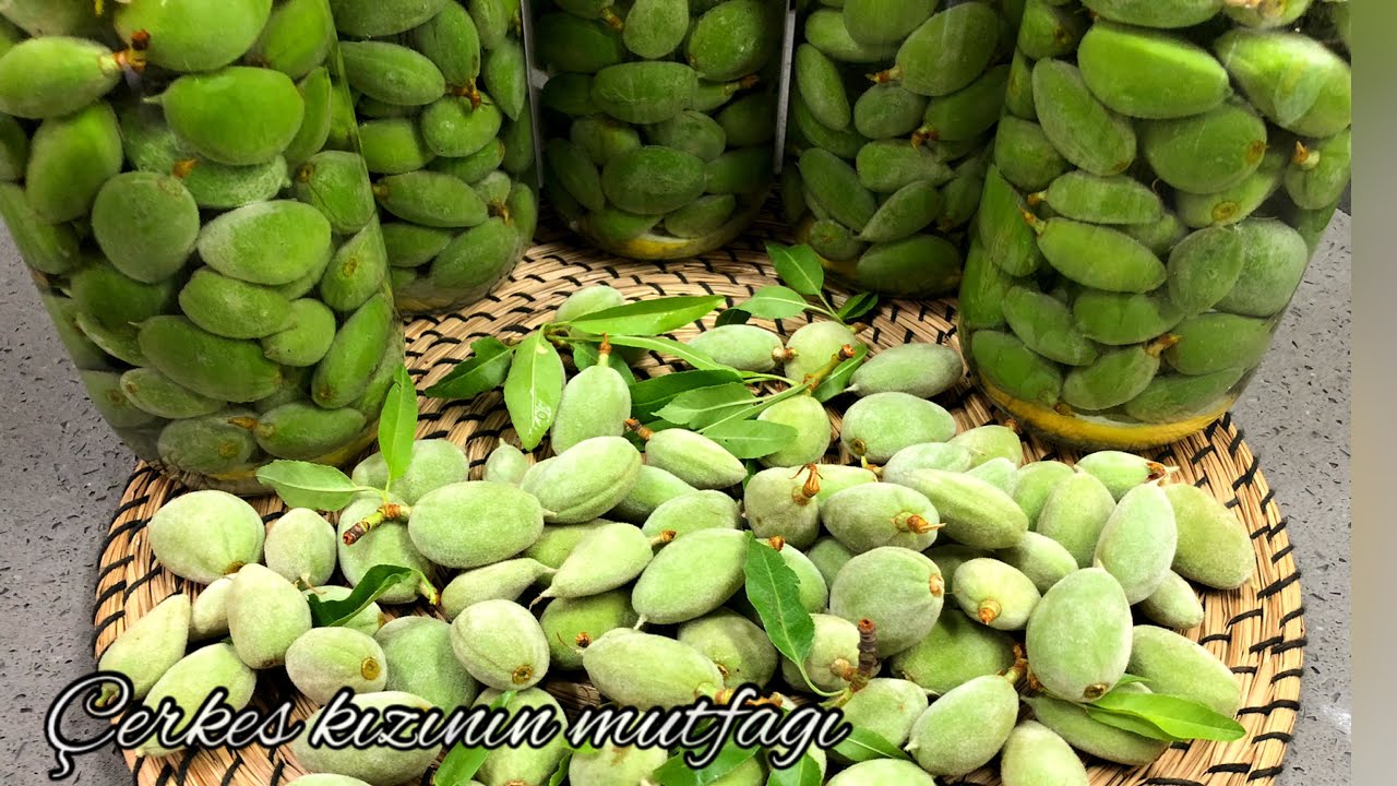 🫒ÇAĞLA TURŞUSU NASIL KURULUR⁉️ Püf noktaları ile kütür kütür çağla turşusu yapımı 👌👏💯