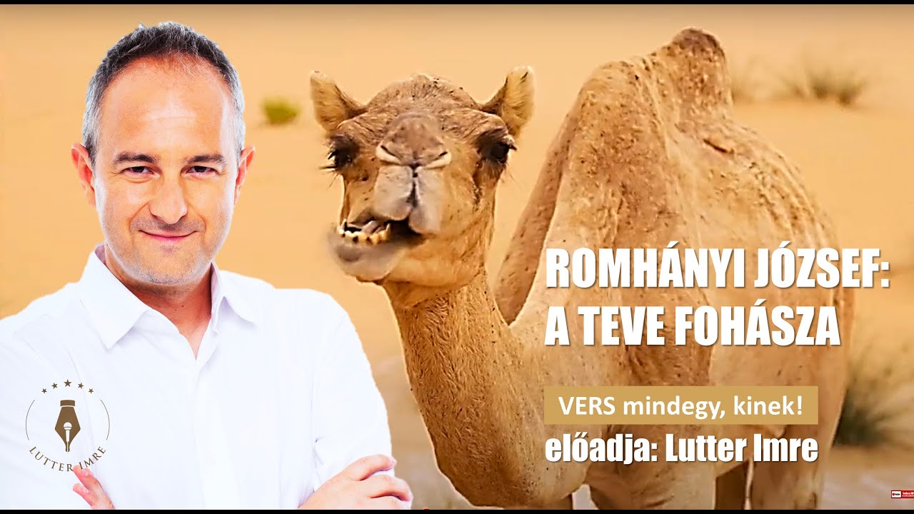 ROMHÁNYI JÓZSEF: A teve fohásza / Lutter Imre / VERS MINDEGY, KINEK