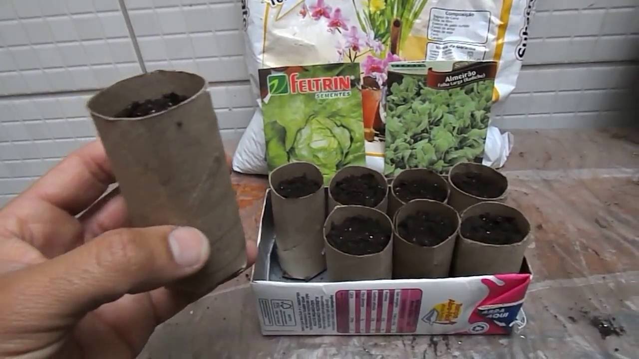 Sementeira: com Tubo do Rolo de Papel Higiênico, Veja passo a Passo