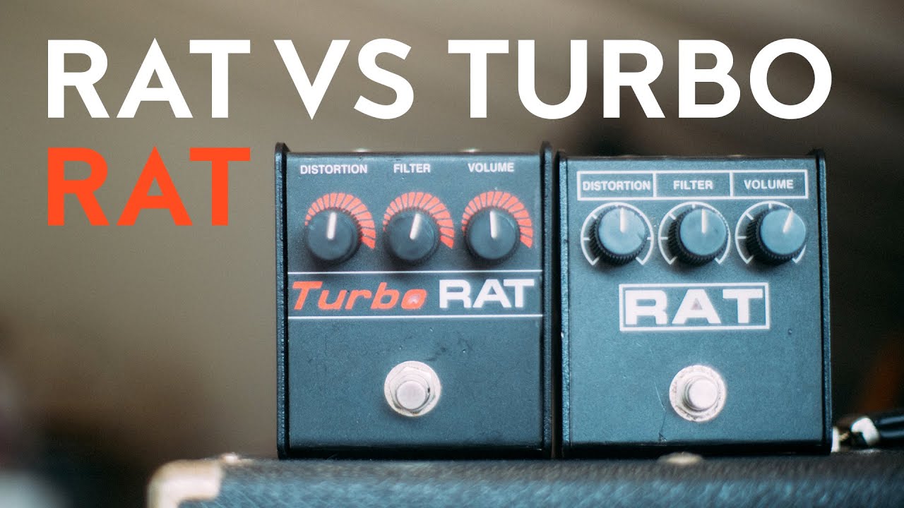 ProCo Rat vs ProCo Turbo Rat [the best rat distortion pedal for your guitar]