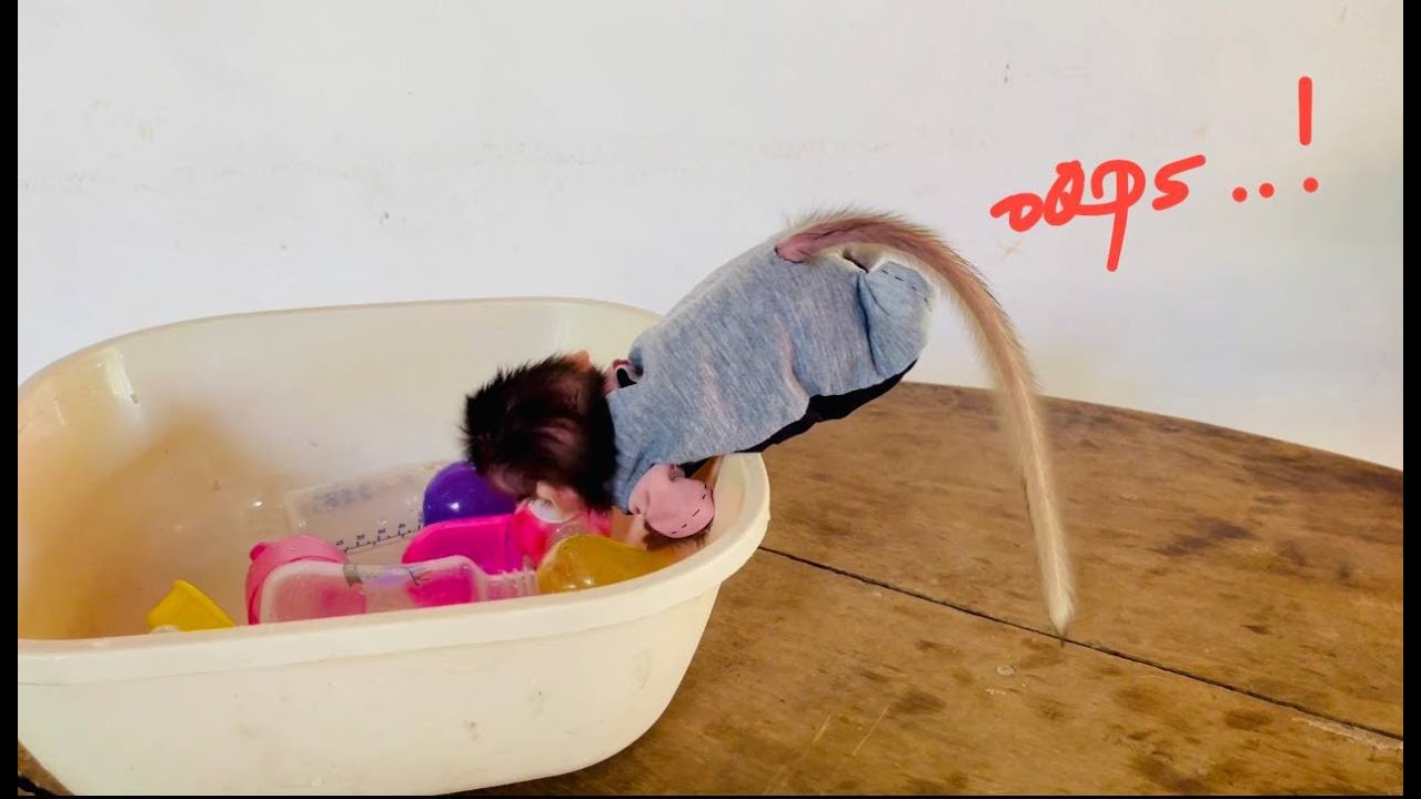 O0h noo..!! Cute Baby koi hunqrii for morning routine untill can’t wait for mom