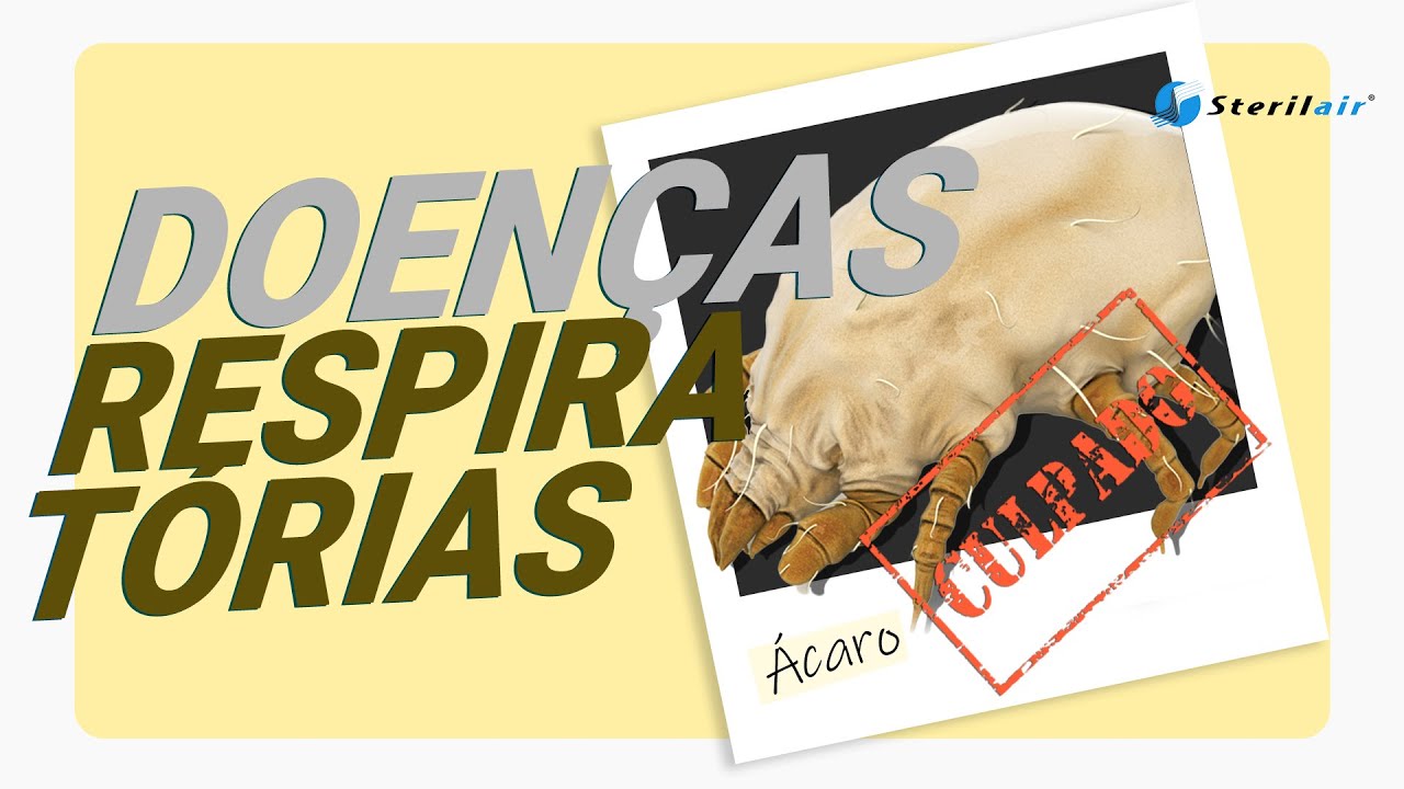 Sterilair | Qual a Relação Entre Ácaros e Doenças Respiratórias?