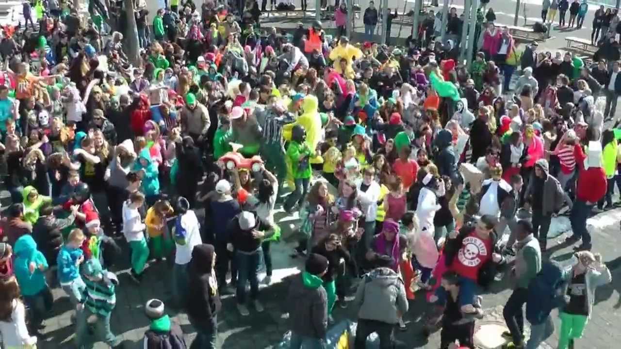 Harlem Shake an der Merianschule-Seligenstadt :D