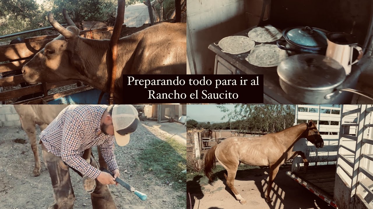 Llegamos a Imuris, Sonora por 2 caballos pa Campear en el Rancho El Saucito🌵🤠