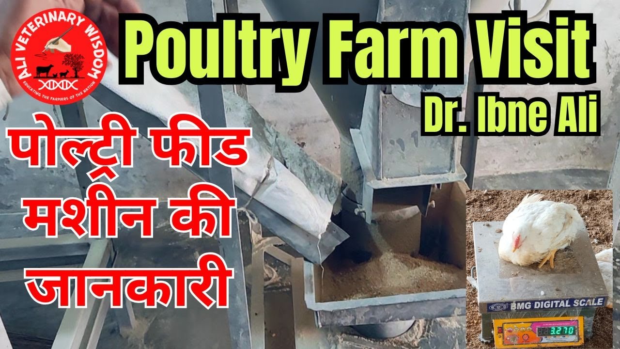 Poultry Farming for Beginners | Poultry Feed Making Machine पोल्ट्री फीड मशीन Ali Veterinary Wisdom