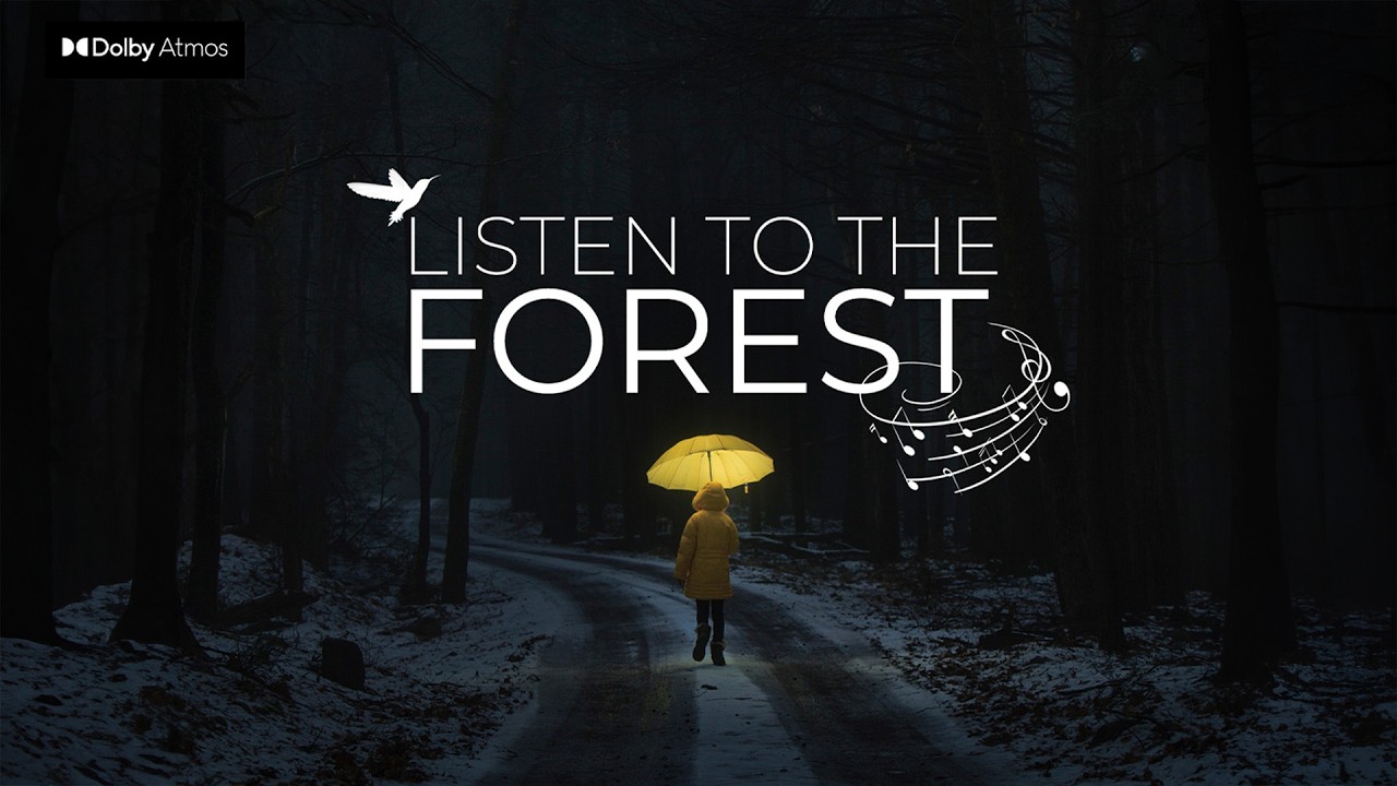 Predator & Prey - Listen to the Forest