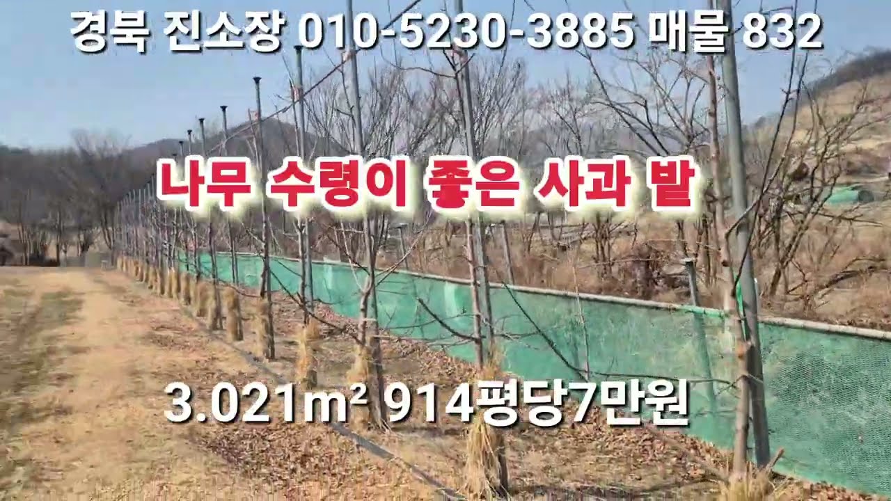 매물 832 # 진소장 부동산 #의성부동산 #군위부동산 #안동부동산 #의성 땅 매매 