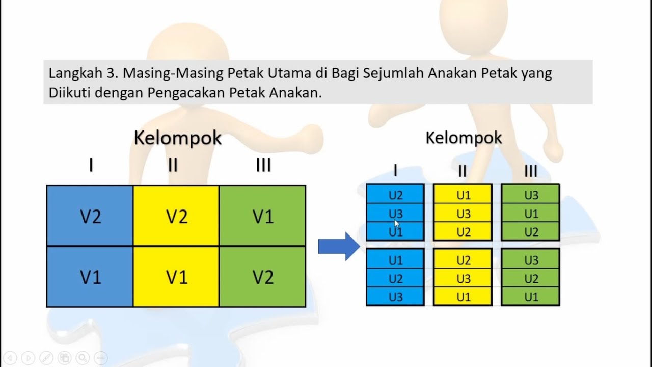 Pengacakan Denah Split Plot Design (RPT RAK), Praktis Faham 10 Menit