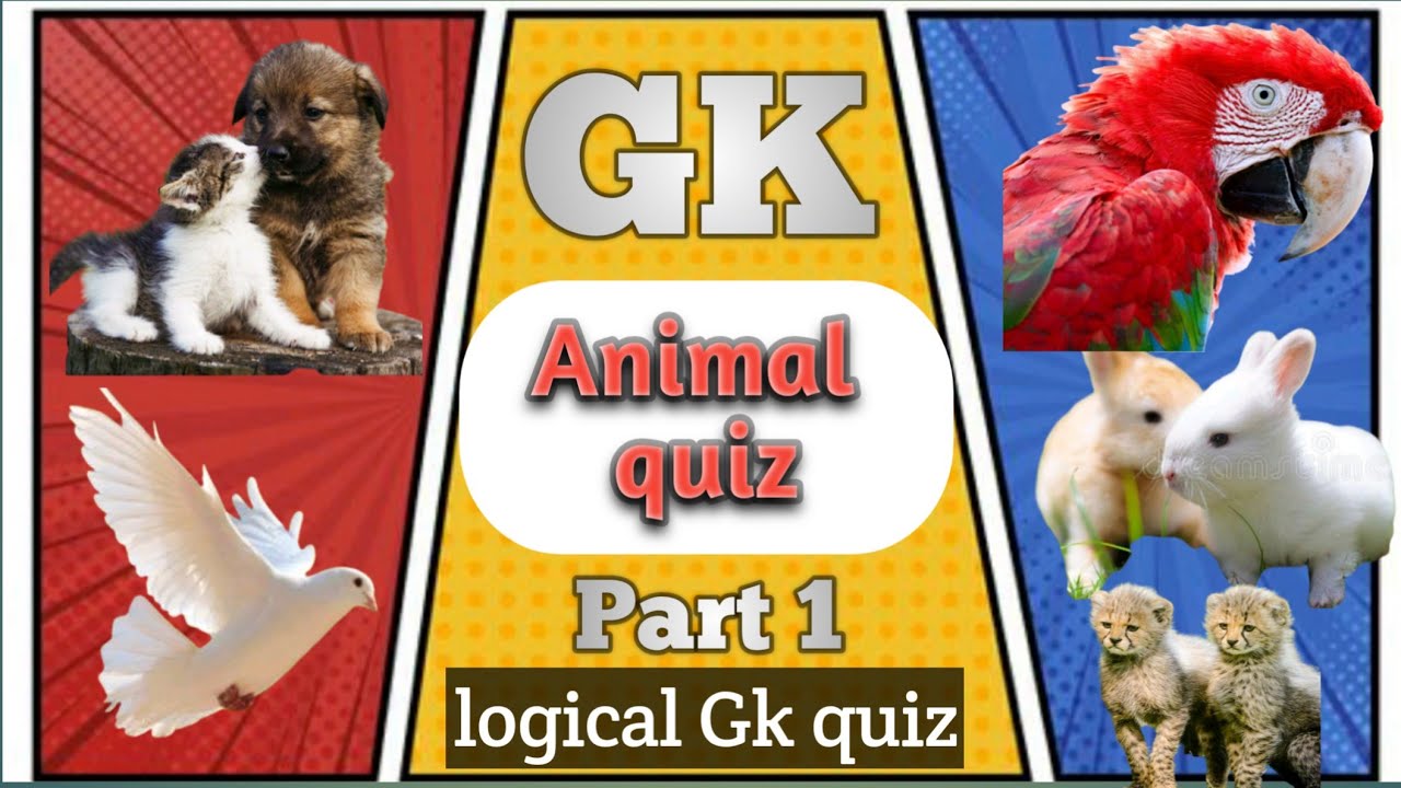 The Animal GK Quiz Test your knowledge of animals|Animal Quiz Part 1|