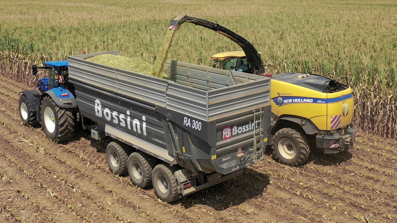 New Holland fr-700 | t7.315 hd | Insilato mais 2022 | f.lli Pietribiasi - Bò Ti Te Sè Team Malo