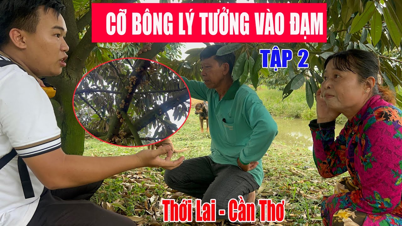 CỠ BÔNG LÝ TƯỞNG ĐỂ VÀO ĐẠM CÁ KÉO CƠI ĐỌT -  TẬP 2