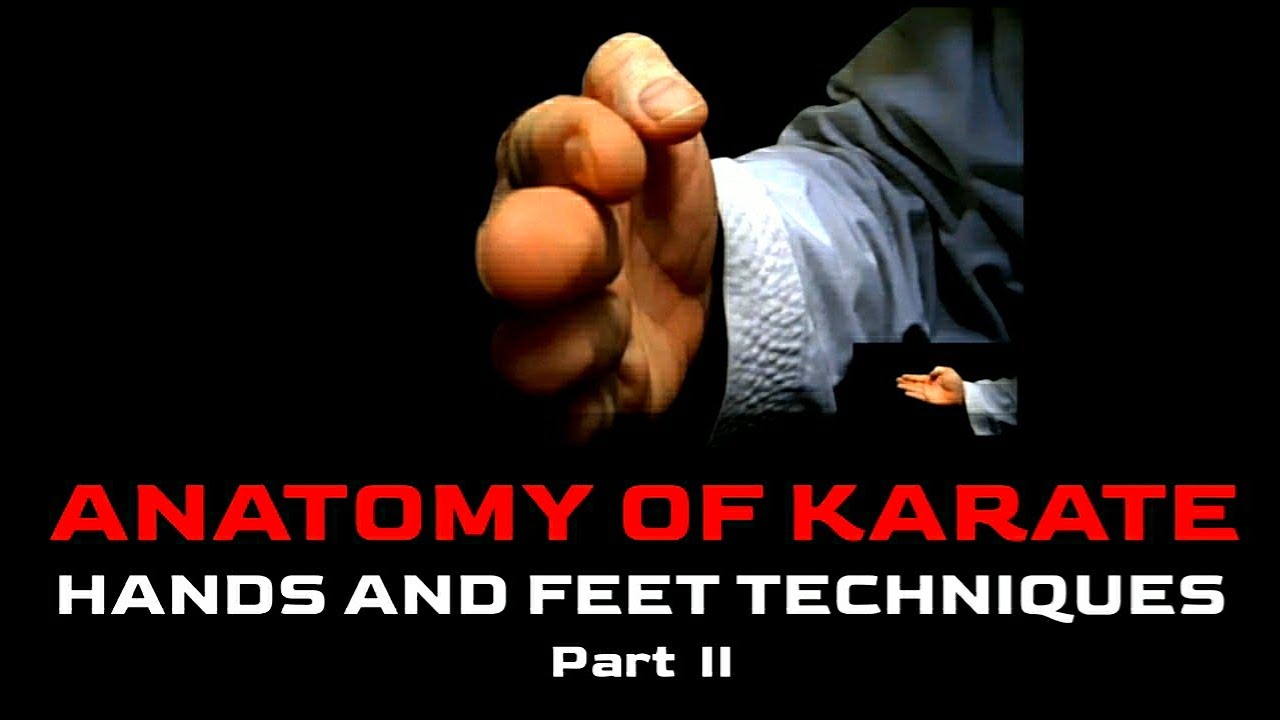 ANATOMY OF KARATE HANDS AND FEET TECHNIQUES part - 2  |  KYOKUSHIN VLOG-30