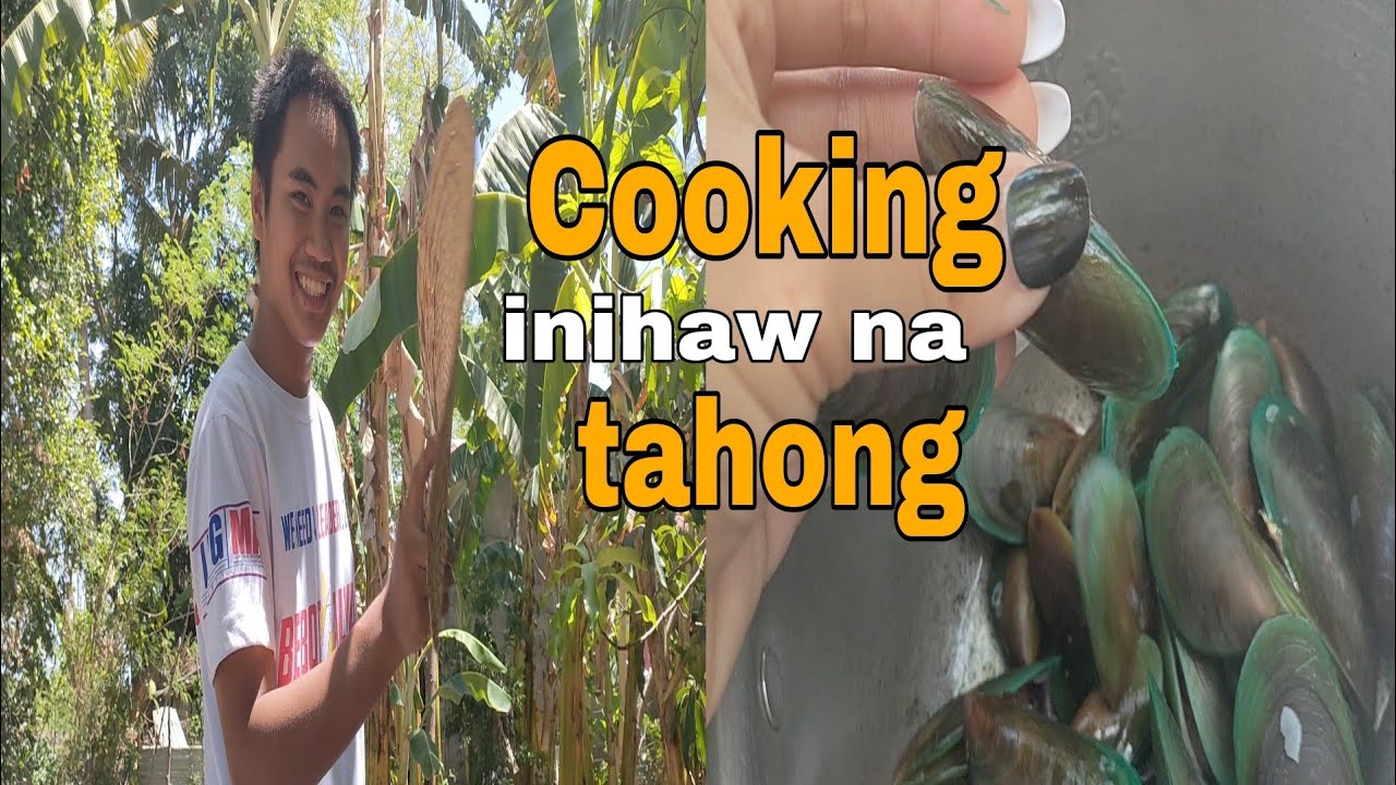 TAHONG NI KAPITANA ANSHE.