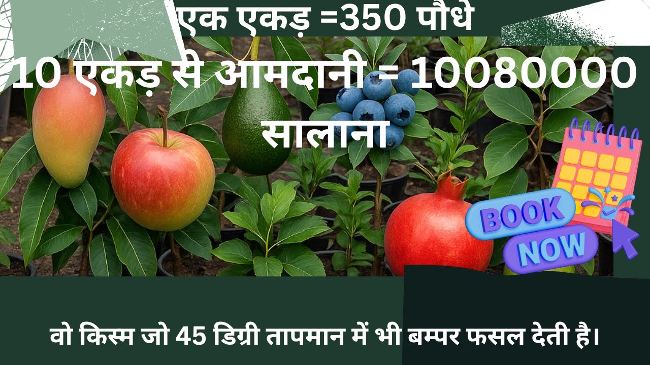 Apple Farming in Hot Climate – अब हर कोई उगा सकता है सेब Apple Farming Revolution.45°C Tak Fasal De.