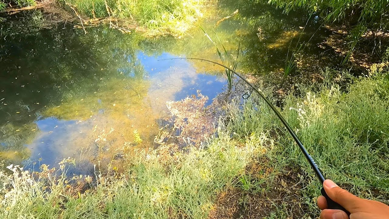 New Target Fish in Shallow Water (Unsuspected Success)