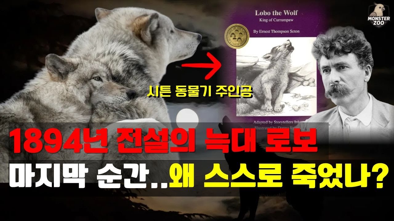 전설의 늑대 왜 스스로 죽음을 선택했나? : 커럼포의 왕 로보 이야기