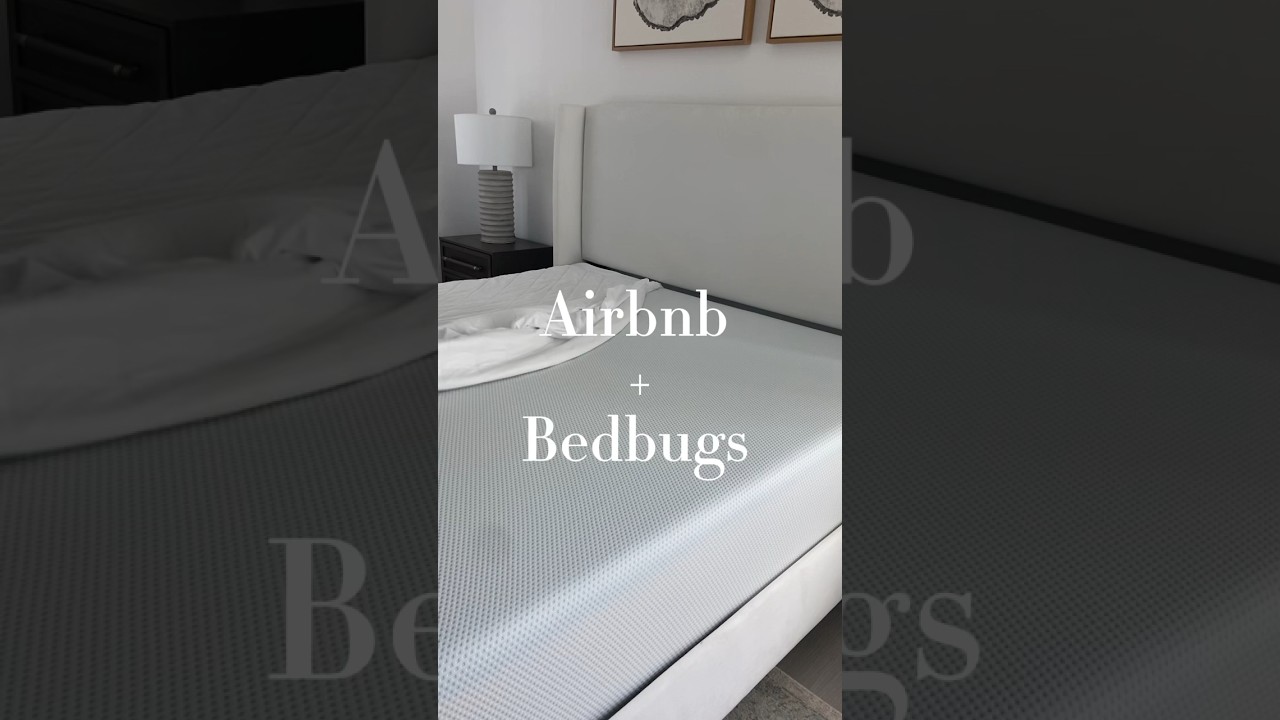 Let&rsquo;s talk about BEDBUGS and Airbnb 🕷😱#airbnbcleaning #airbnb #cleaningtips #bedbugs #cleantok